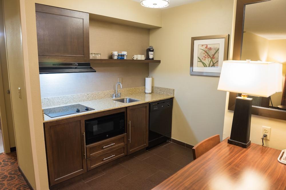 Hampton Inn & Suites Tampa-North Bagian luar foto