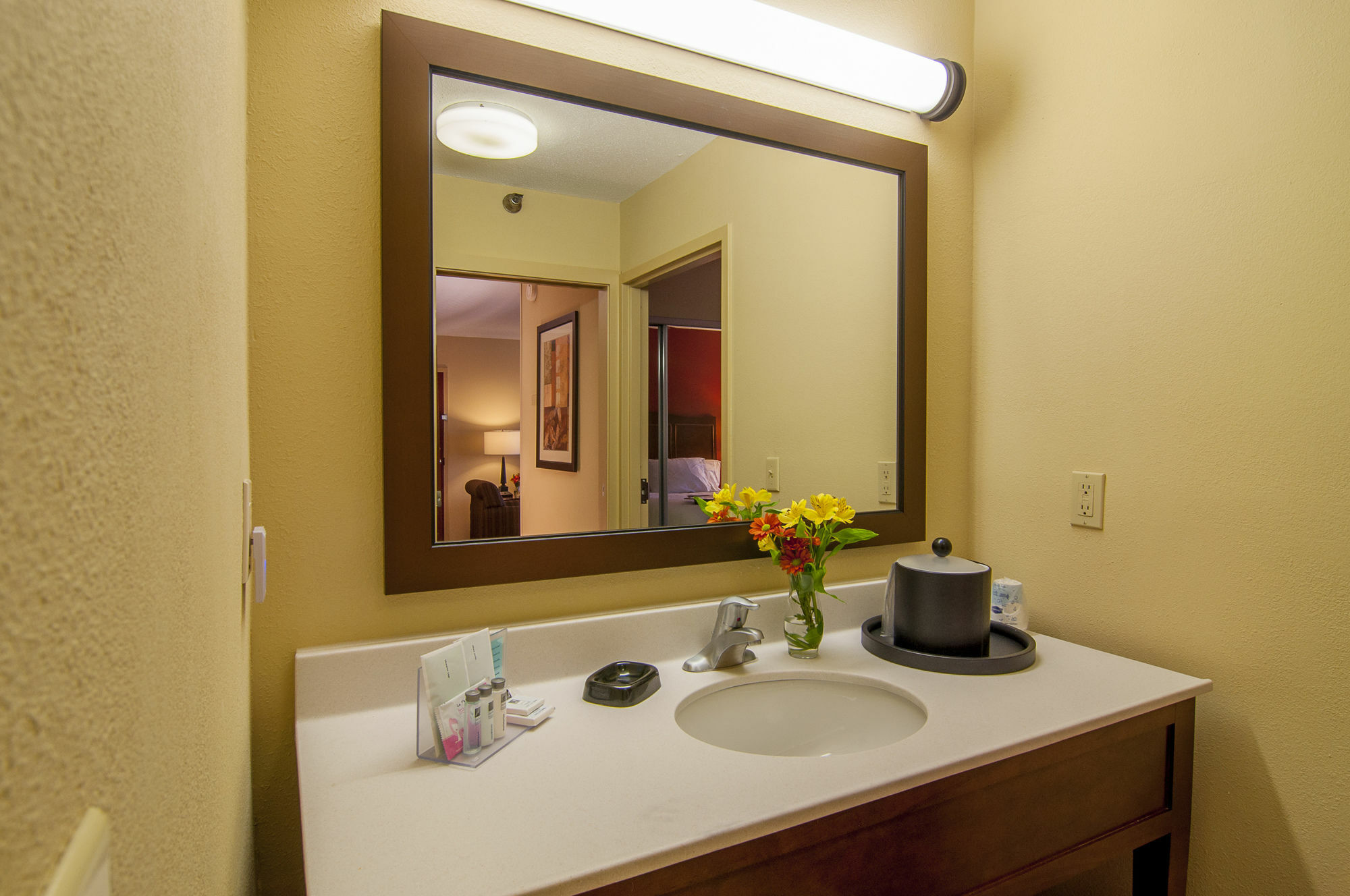 Hampton Inn & Suites Tampa-North Bagian luar foto